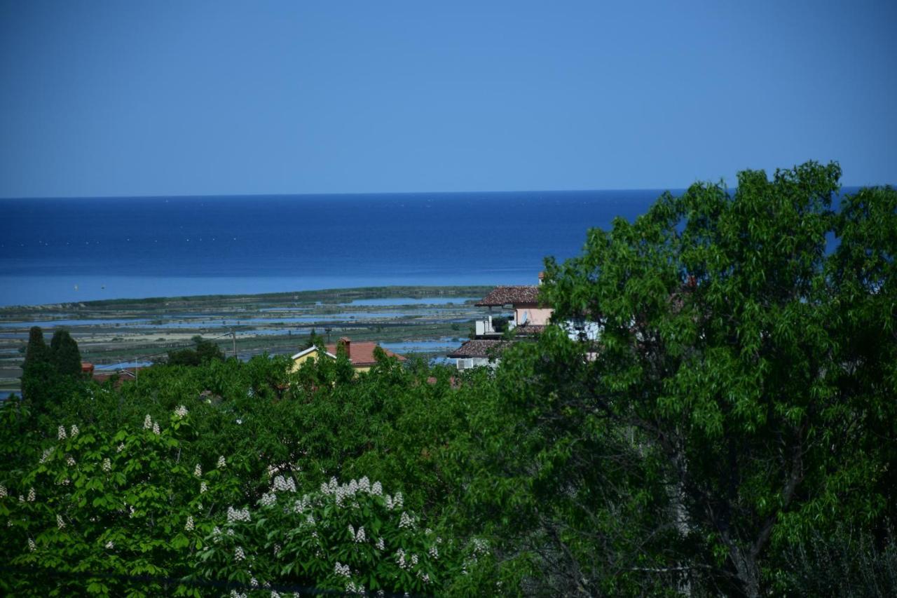 Apartment Burja Portoroz Bagian luar foto