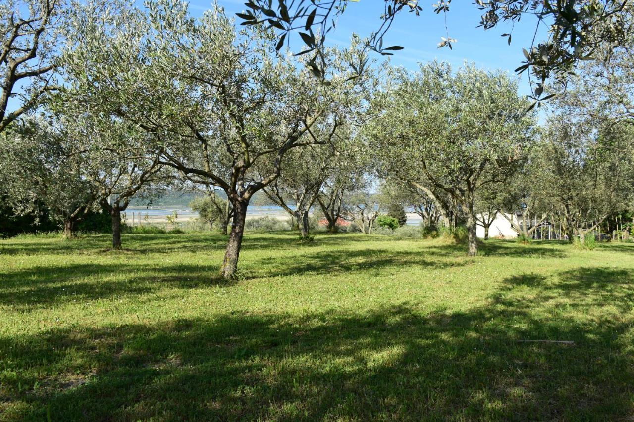 Apartment Burja Portoroz Bagian luar foto