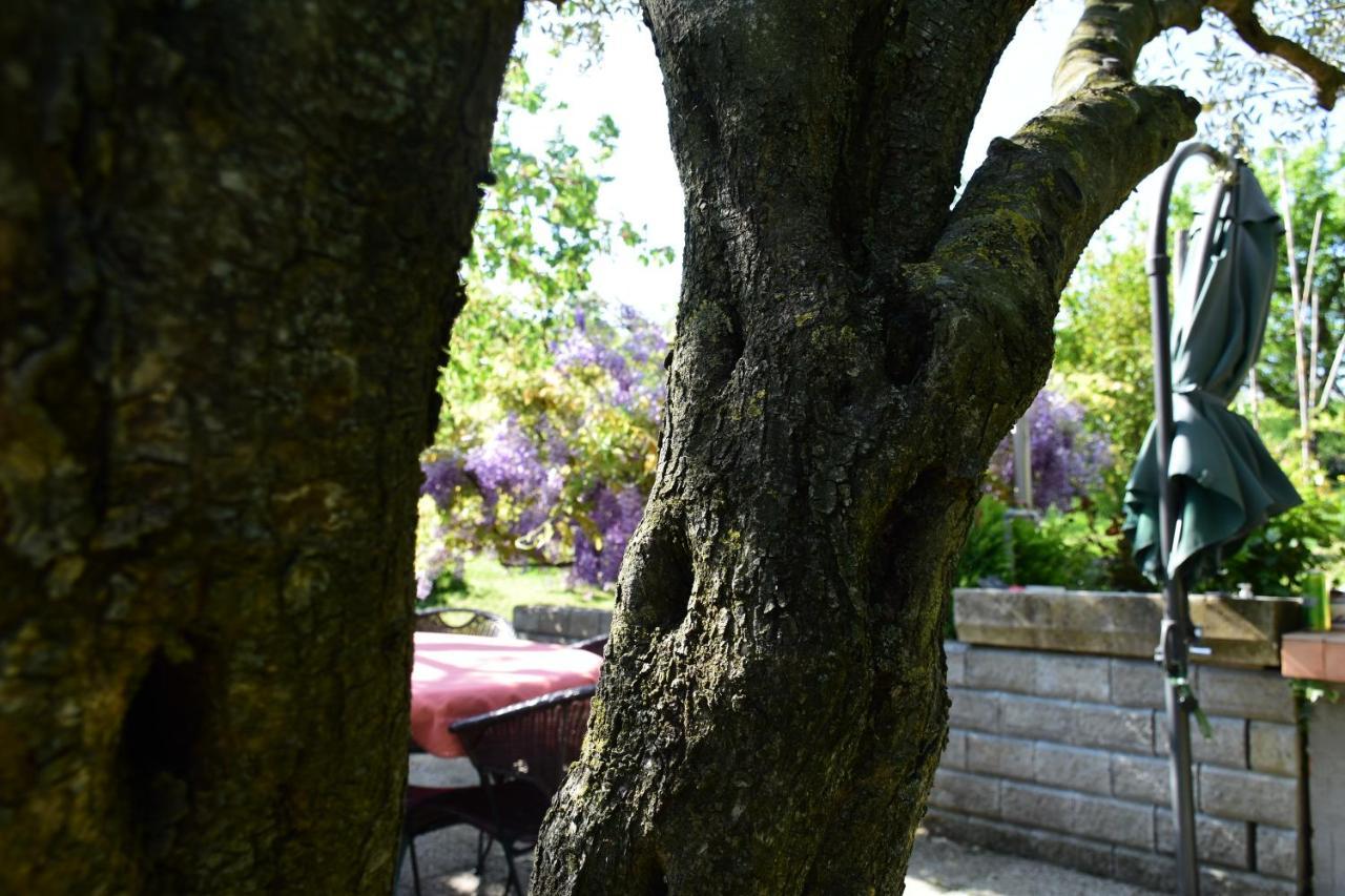 Apartment Burja Portoroz Bagian luar foto